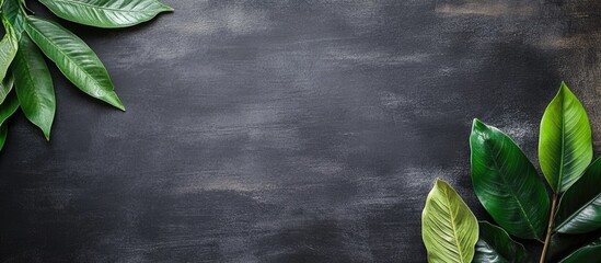 Poster - chalkboard background with lush tropical leaves providing a fresh and inviting space for your custom