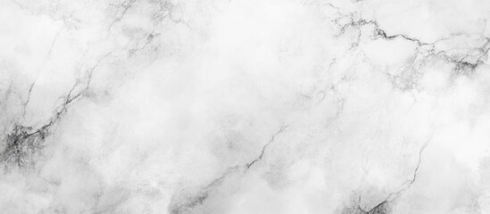 Poster - Grey Anthracite Marble Texture with Subtle Veining and Copy Space for Elegant Design and Background Use