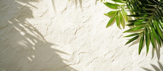 Poster - Tropical Green Leaves and Palm Fronds Casting Shadows on a Textured White Wall with Space for Text or Graphics
