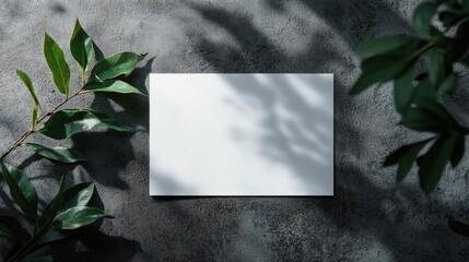 Poster - A4 poster mockup with white background and green leaf shadow on dark concrete surface ideal for branding and promotional materials