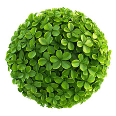 Wall Mural - Round leafy plant ball, isolated on transparent cutout background