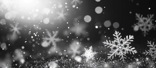 Poster - Monochrome winter scene featuring luminous snowflakes against a dark background with ample space for custom text or graphics