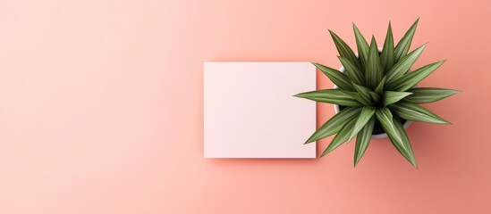 Poster - pastel pink folded card mockup with greenery in a pot on pastel background top view for blank layout