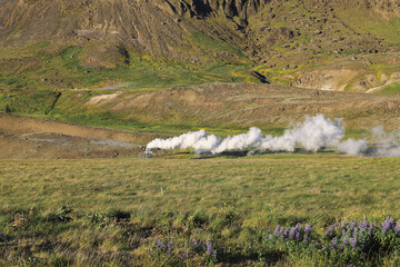 geothermal plant. eco-sustainable energy source