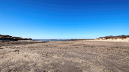 Poster - Sandy beach panorama under a clear blue sky featuring natural coastal landscape and tranquil atmosphere