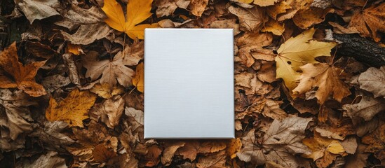 Poster - Blank canvas surrounded by autumn leaves in a serene forest setting ideal for creative projects and nature-themed promotions