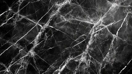 Poster - Elegant Dark Grey Marble Texture with Intricate Veins for Background and Design Use