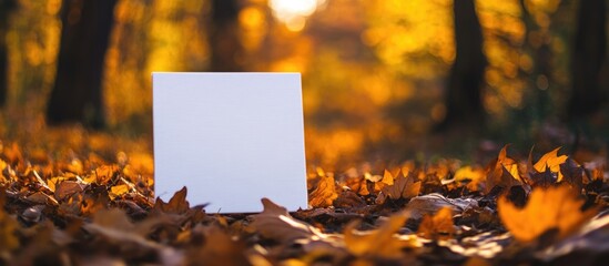 Poster - Blank canvas surrounded by autumn leaves in a tranquil forest setting ideal for creative nature concepts and customizable text space