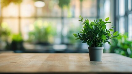 Poster - Modern Office Space Featuring Potted Green Plants and Soft Focus Background Ideal for Creative Ideas and Workplace Banners