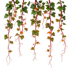 Wall Mural - Skyfire Vines – Hanging vines with glowing red tendrils