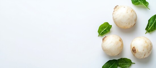 Wall Mural - Fresh jicama tubers surrounded by green leaves on a white background with ample space for copy or text placement.