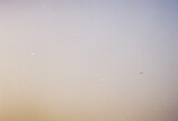 200 ISO 35mm Real Film Grain Texture