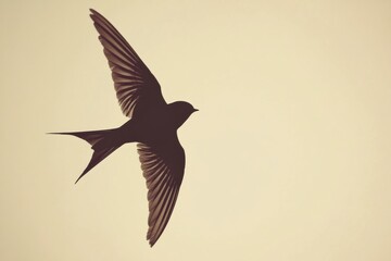 Aufkleber - Bird soaring gracefully through the sky at sunset showcasing elegant wing structure and tranquil atmosphere. Generative AI