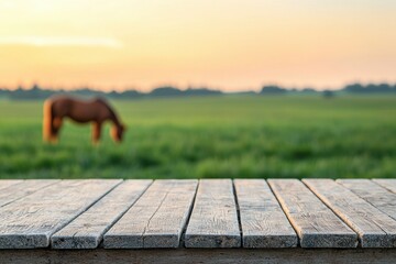 Poster - Empty wooden table with blurred horse grazing in green field at sunset, perfect for product placement