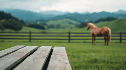 Aufkleber - Rustic wooden table in grassy field, with a horse grazing by a fence under natural sunlight, creating a serene rural farm atmosphere
