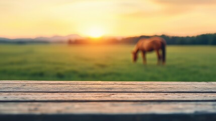 Poster - Rustic wooden table set in a grassy field with a horse grazing in the distance, bathed in warm sunset light, creating a serene outdoor atmosphere