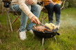 © tonefotografia - Enjoying a Sunny Afternoon as Friends Gather for a Barbecue in a Backyard Setting
