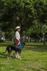 Wall Mural - A young girl and her dog are walking in a park