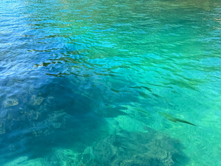 Wall Mural - Mediterranean sea clear emerald water surface.