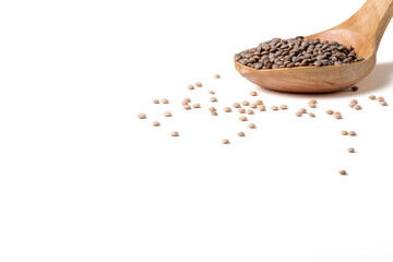 Group of lentils on a wooden spoon on a white background