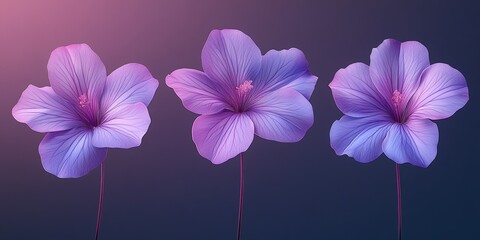 Poster - Beautiful purple flowers arranged elegantly against a soft gradient background during twilight