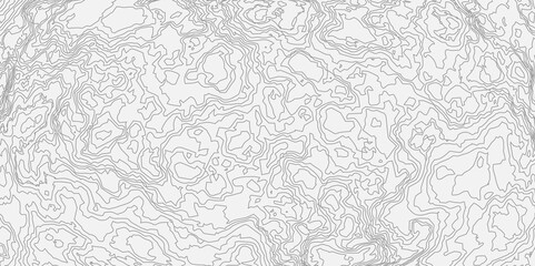 Poster - abstract wavy background. detailed topographic line map showing elevation patterns. topographic cont