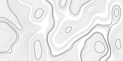 Wall Mural -  abstract wavy background. Detailed topographic line map showing elevation patterns. topographic contour background.