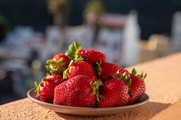 Wall Mural - New harvest, plate with bio ripe red sweet strawberry from Tenerife, Canary islands, Spain, vegetarian food local grown fruits