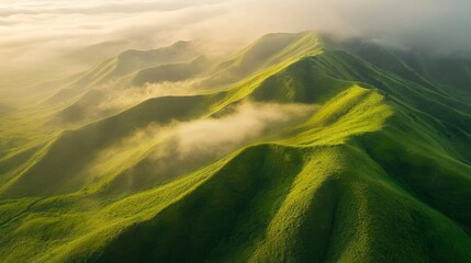 Wall Mural - Majestic summer landscape of green hills and foggy mountains at sunrise in lampura, moldova