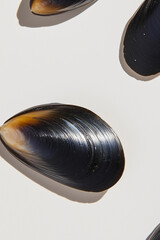 Poster - Mussel Shell Close-up: A detailed close-up shot of a single dark mussel shell, showcasing its smooth, glossy surface and iridescent inner layer, against a light beige backdrop.