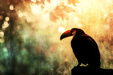 Aufkleber - Silhouette of a toucan perched on a branch with a glowing bokeh forest background, symbolizing exotic wildlife, mystery, and the beauty of nature at twilight