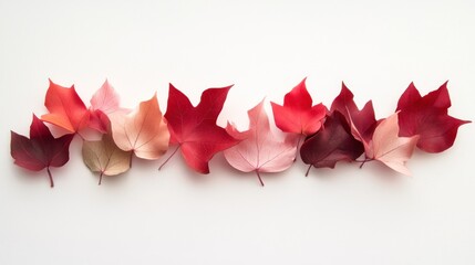 Poster - Autumn leaves arranged in a gradient color scheme