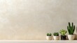 © Artyom - Potted succulents and cactus against minimalist beige wall backdrop