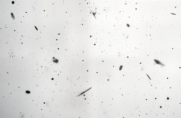 Aufkleber - Abstract design with distressed texture. White background scattered with black, grey marks, scratches. Looks like cosmic pattern grunge effect. Perfect for graphic design projects. Suitable for