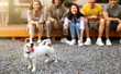 © Prostock-studio - Group of multiethnic friends sitting near motorhome on camping trip, focus on cute dog, copy space. Millennials spending time with their pet outdoors. Friendship, summer vacation, free time concept