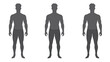 © Johnathan - Standing Men Silhouettes on Clear Background Generative AI