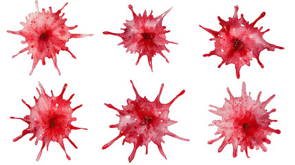 Poster - Wine Stains Art on Transparent Background Generative AI
