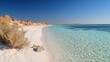 © NAIMAH - Pristine desert beach, turquoise water, clear sky,  coral reef background, travel brochure