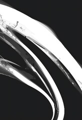 Poster - Abstract grayscale swirls and curves design