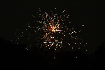 Wall Mural - firework display during new year celebration