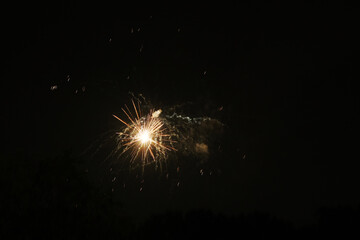 Wall Mural - firework display during new year celebration