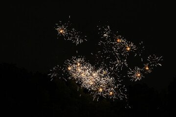 Wall Mural - firework display during new year celebration