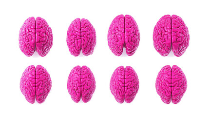 Poster - Colorful Pink Brains on Transparent Background Generative AI