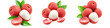 © Foyez Ullah - Fresh Lychee with Leaves – Transparent Background PNG