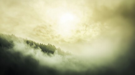 Wall Mural - Sunbeams Slicing Through Dense Mist in Serene Landscape Scene