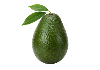 Poster - Fresh avocado with leaves isolated on white background, front angled view, no depth of field, sharp