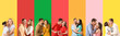 © Pixel-Shot - Set of kissing people on color background