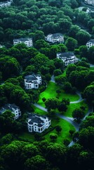 Wall Mural - Aerial View of Luxury Homes  Green Landscape  Suburban Estate  Eco Friendly City