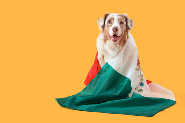 Cute dog with flag of Mexico on yellow background