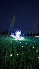 Poster - A wide shot of fireflies dancing through tall grass in slow motion, illuminating the night with their synchronized, enchanting glow.
